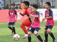 【168体育】中国足球的“12岁退役”现象